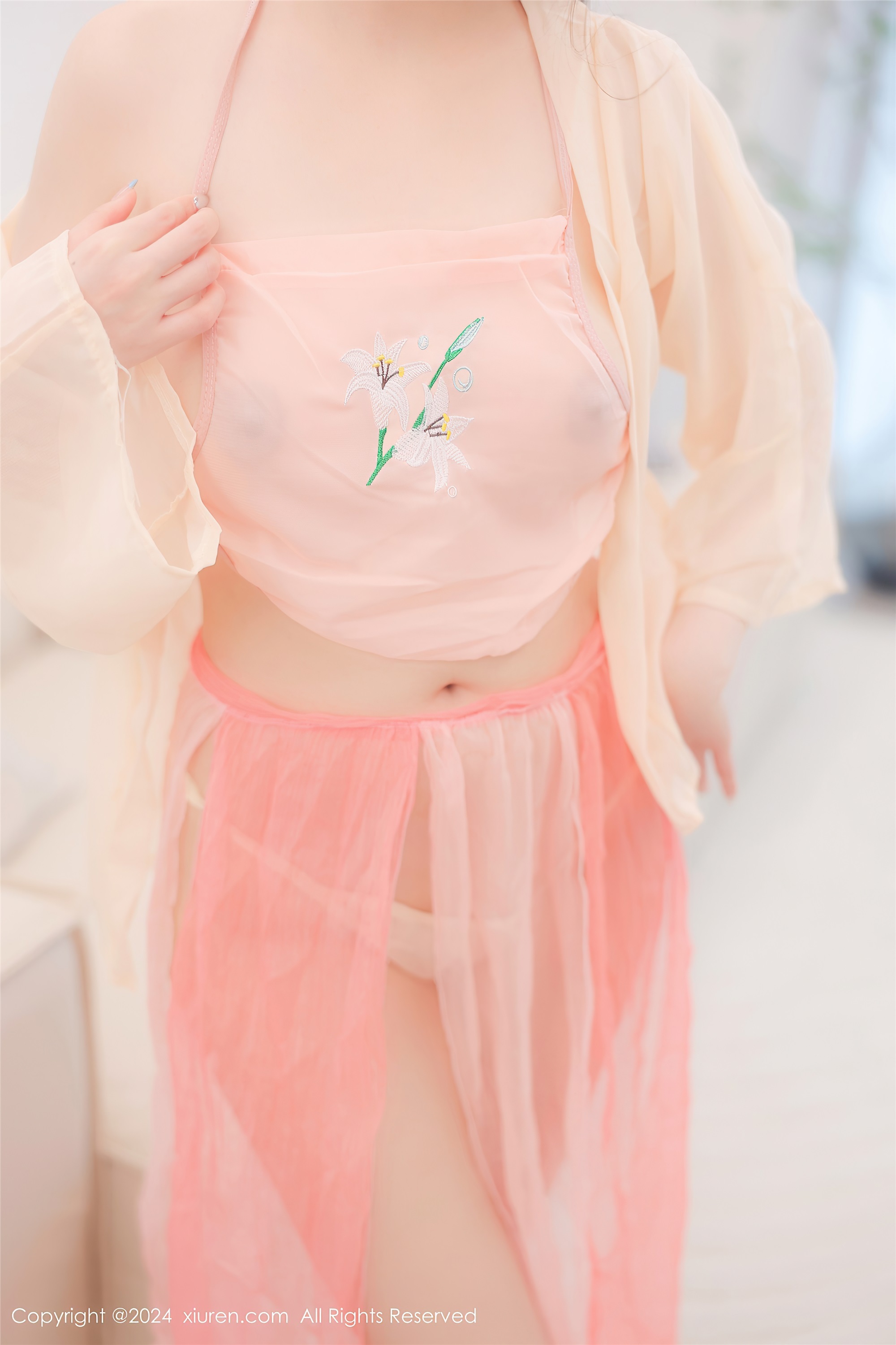 Xiuren秀人网 2024.07.24 NO.8906 软软酱